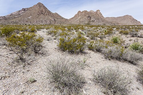 Doña Ana Mountains